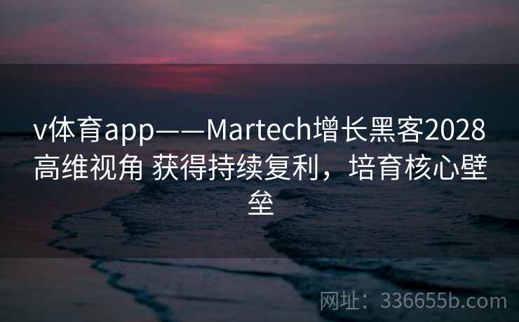 v体育app——Martech增长黑客2028高维视角 获得持续复利，培育核心壁垒