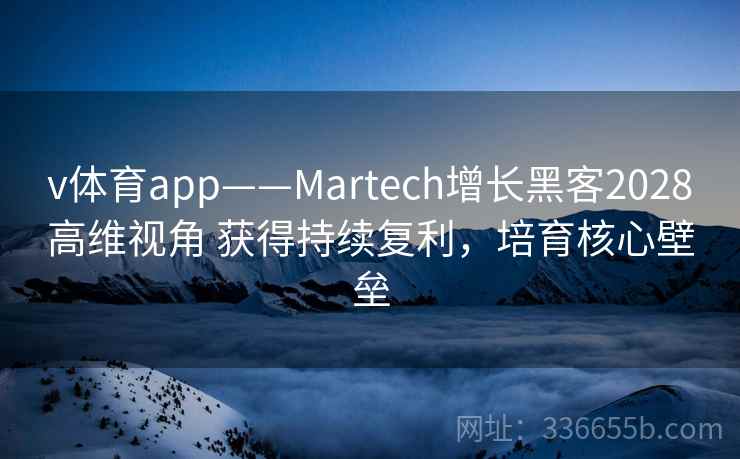 v体育app——Martech增长黑客2028高维视角 获得持续复利，培育核心壁垒