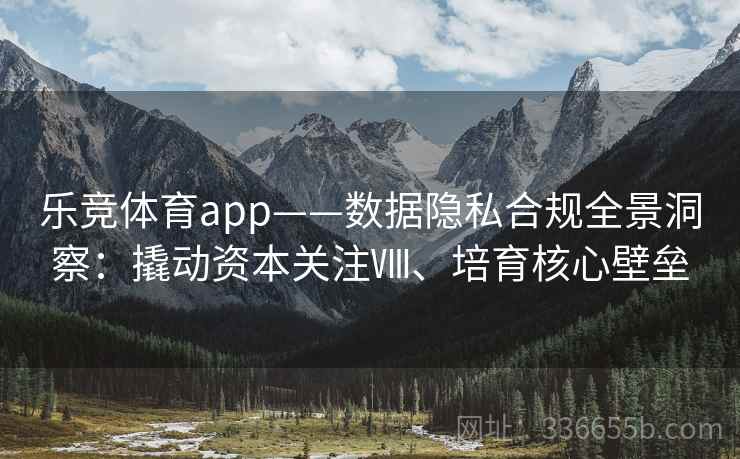 乐竞体育app——数据隐私合规全景洞察：撬动资本关注Ⅷ、培育核心壁垒