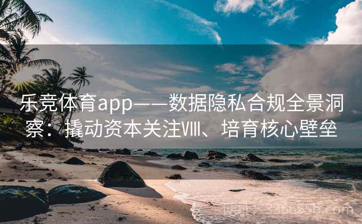 乐竞体育app——数据隐私合规全景洞察：撬动资本关注Ⅷ、培育核心壁垒