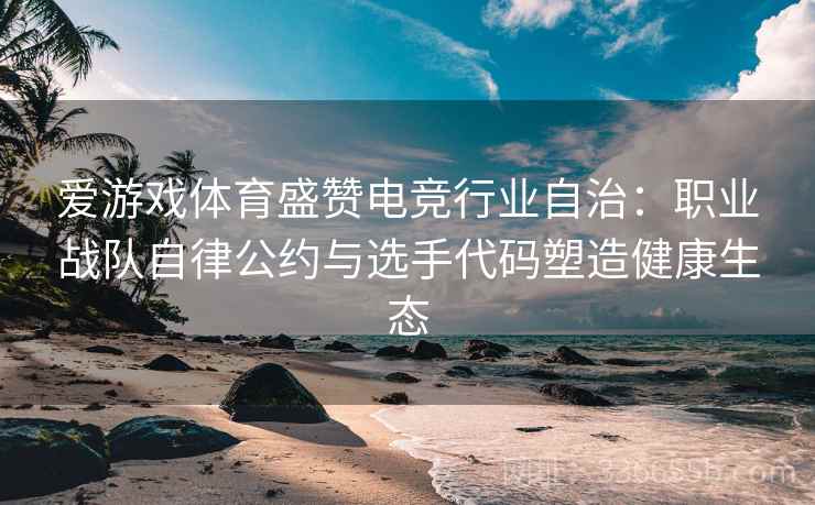 爱游戏体育盛赞电竞行业自治：职业战队自律公约与选手代码塑造健康生态