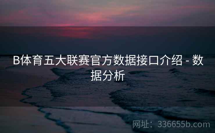 B体育五大联赛官方数据接口介绍 - 数据分析