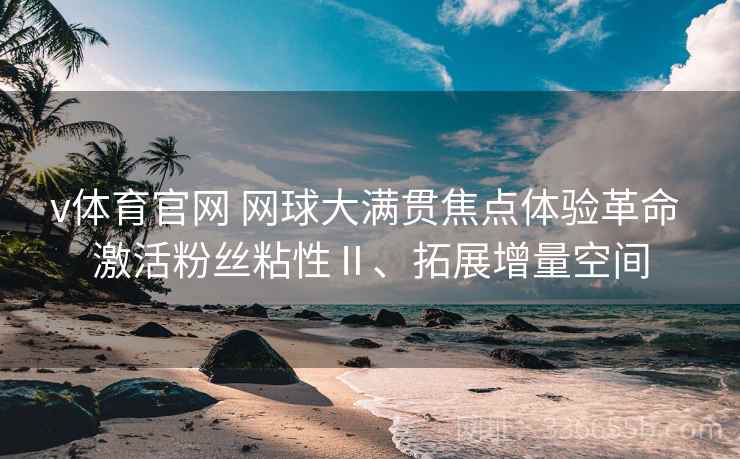 v体育官网 网球大满贯焦点体验革命 激活粉丝粘性Ⅱ、拓展增量空间