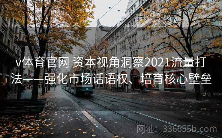 v体育官网 资本视角洞察2021流量打法——强化市场话语权、培育核心壁垒